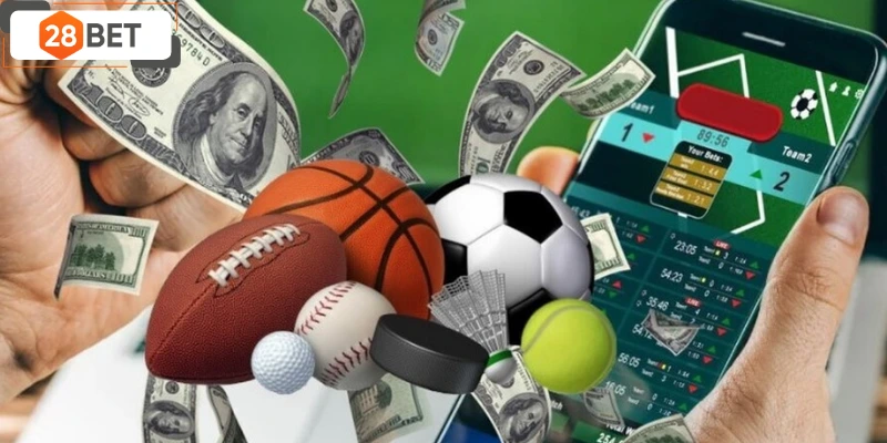 Giới thiệu thể thao 28BET với người mới